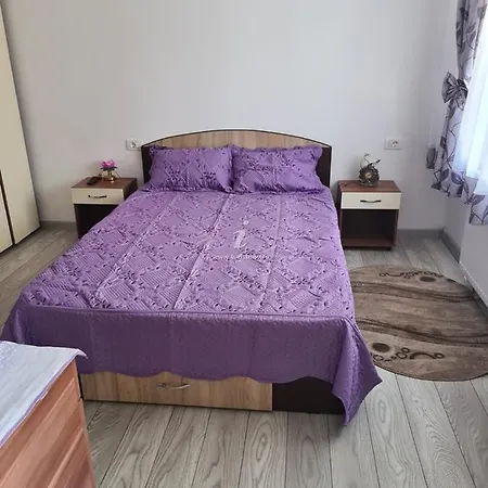 Vila Angelina Fedi Mangalia