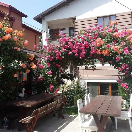 Vila Angelina Fedi Villa Mangalia